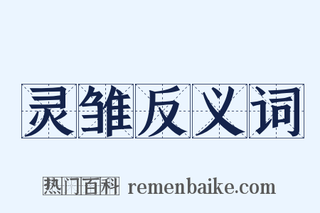 灵雏反义词是什么意思的图片